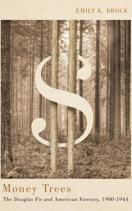 摇钱树:花旗松和美国林业，1900-1944