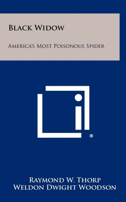 黑寡妇:美国最毒的蜘蛛