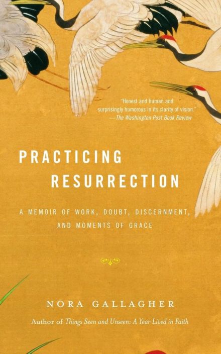 实践复活:一本关于工作、怀疑、洞察力和恩典时刻的回忆录