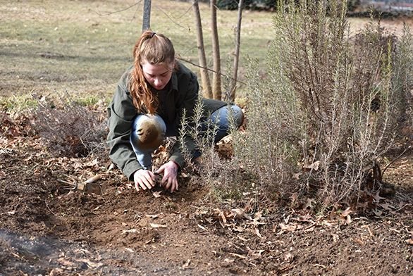 Students works in garden.