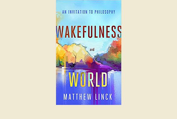 Wakefulness And World by Matthew Linck