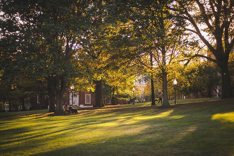 Front Lawn at Sunset