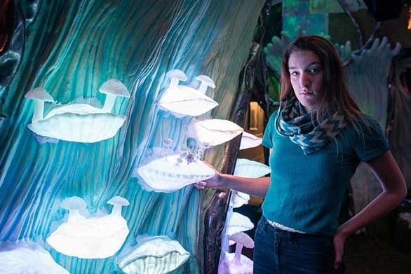 Maggie Thornton (SF15) plays a pivotal role at Meow Wolf.