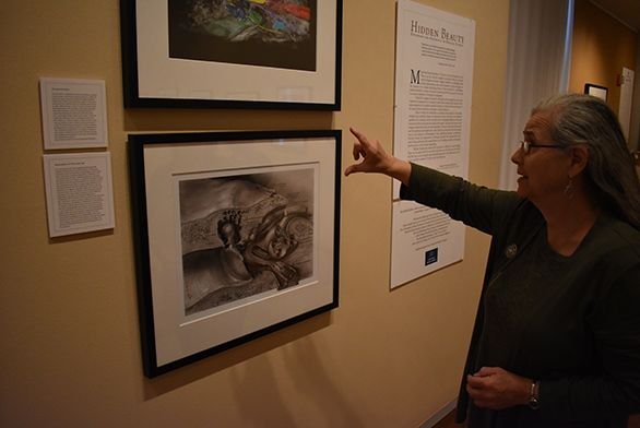 Lucinda Edinberg discusses new exhibit