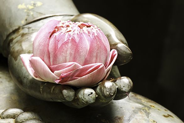 Buddha hand with flower