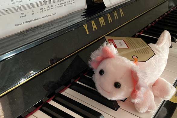 Axolotl Scavenger Hunt 2025