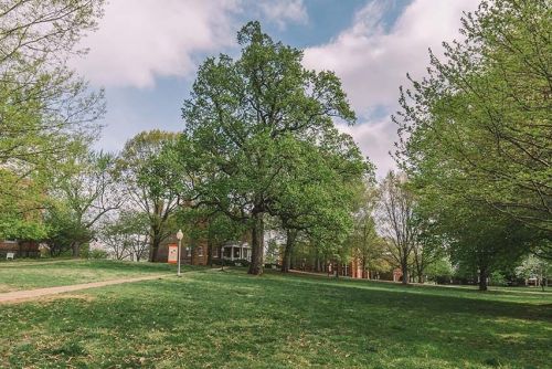 St Johns College Annapolis Campus Spring Wide 2019