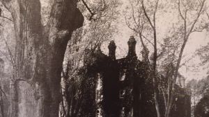 1933 Annapolis Campus Views 14 The Liberty Tree and Pinkney Hall
