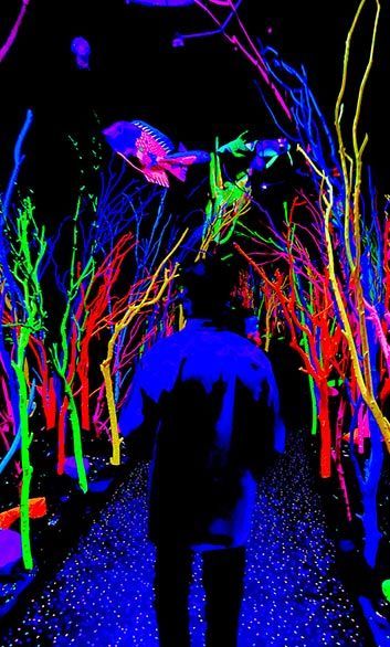 Meow-Wolf-Santa-Fe.jpg