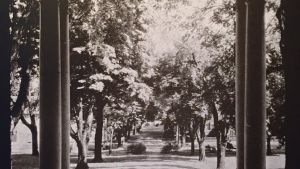 1933 Annapolis Campus Views 5 The Central Walk