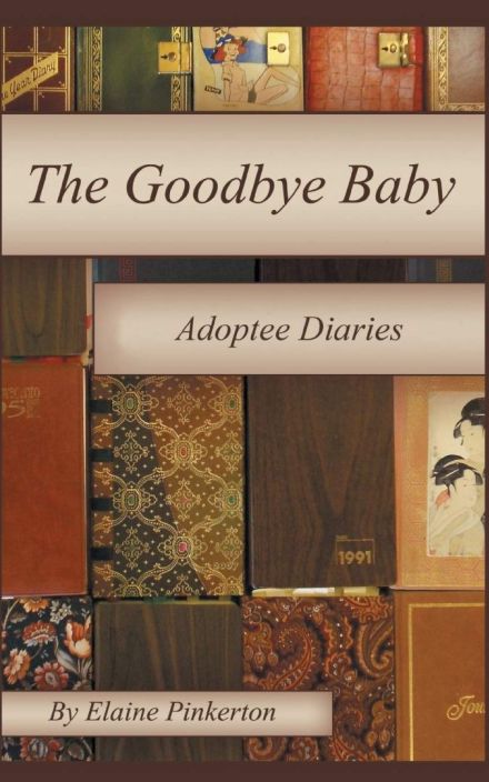 The Goodbye Baby: A Diary about Adoption