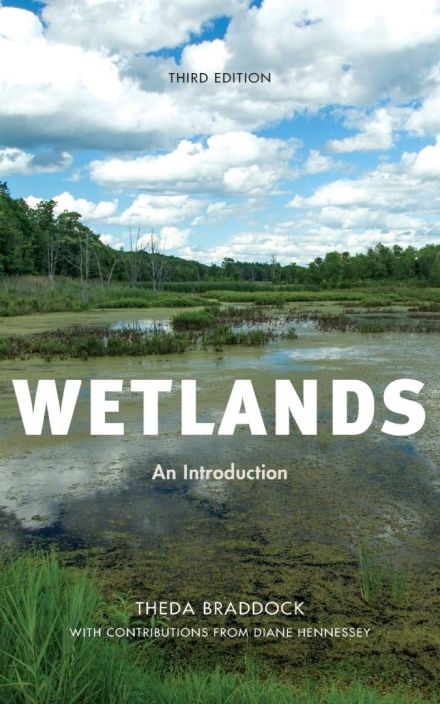 Wetlands: An Introduction