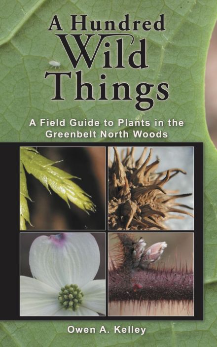 A Hundred Wild Things: A Field Guide to Plants in the Greenbelt North Woods