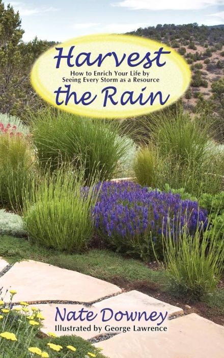 Harvest the Rain: How to Enrich Your Life by Seeing Every Storm as Resource