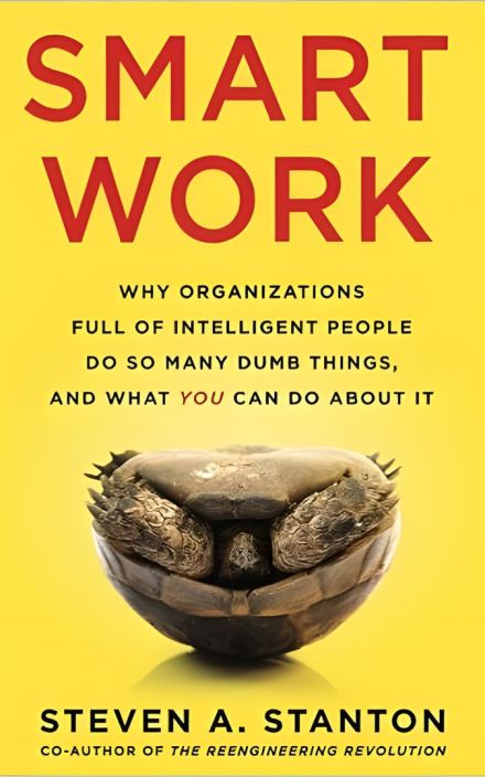 Smart Work: Why Organizations full of Intelligent People do so Many Dumb Things and What You Can Do About It