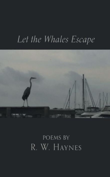 Let the Whales Escape