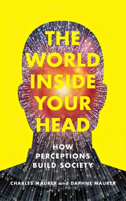 The World Inside Your Head: How Perceptions Build Society