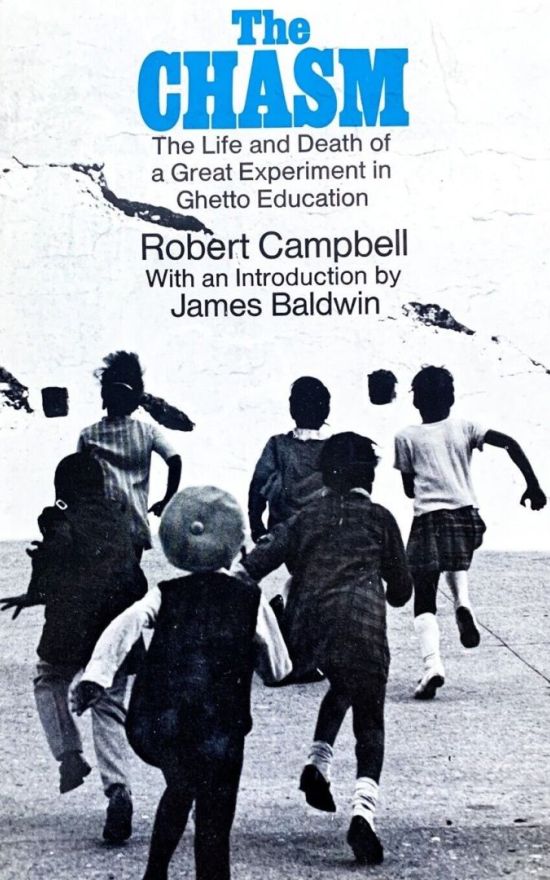 The Chasm: The Life and Death of a Great Experiment in Ghetto Education